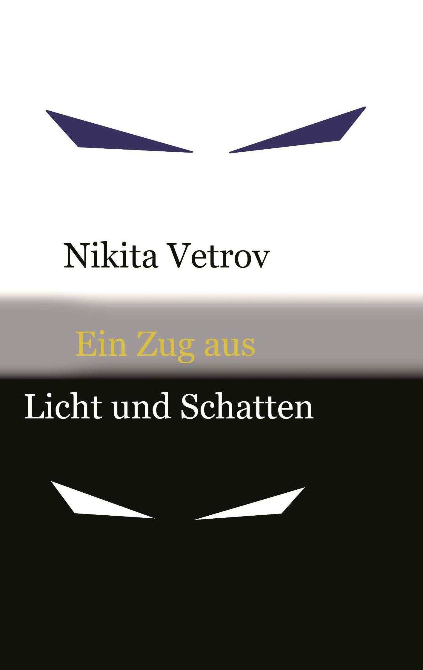 Ein Zug aus Licht und Schatten Contemporary literature