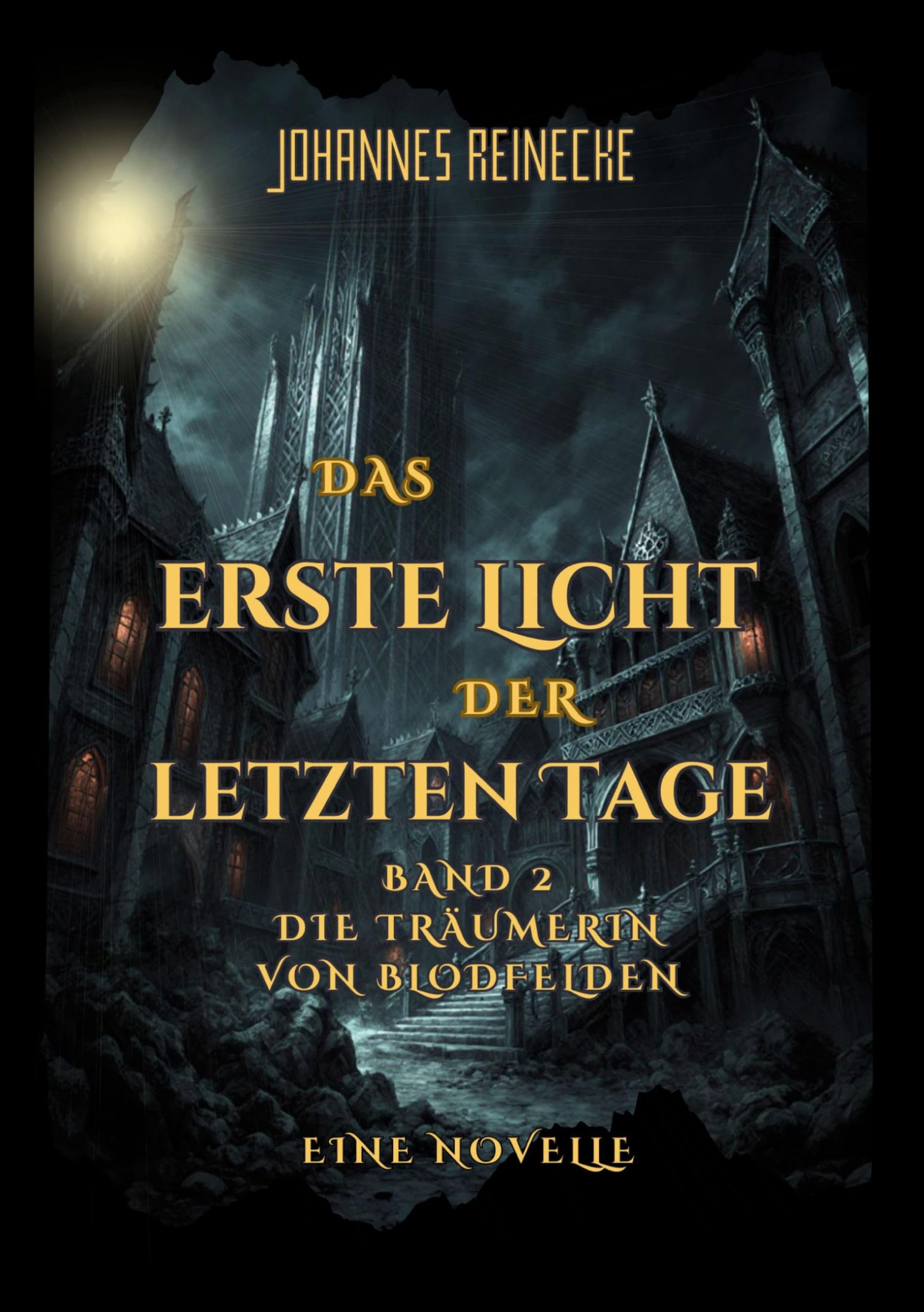 Die Träumerin von Blodfelden Historical Fiction