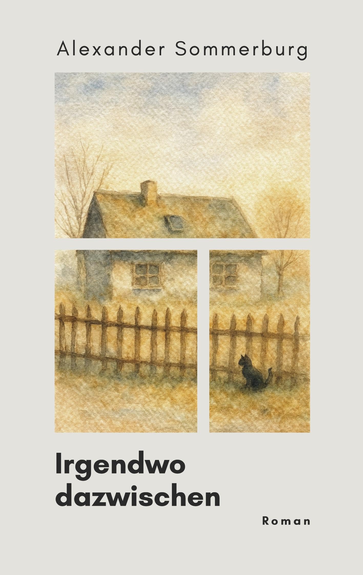 Irgendwo dazwischen Contemporary literature