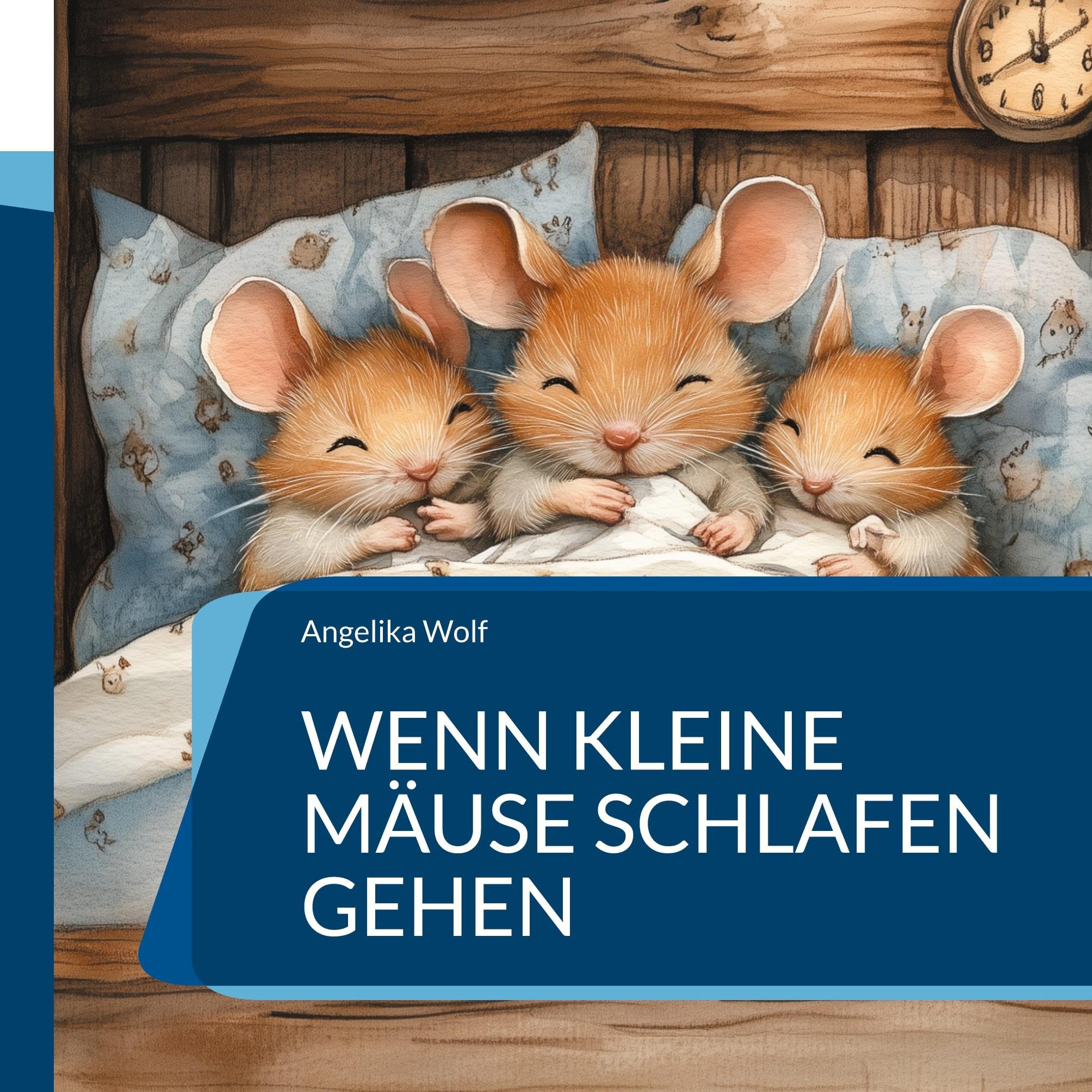 Wenn kleine Mäuse schlafen gehen Non-fiction
