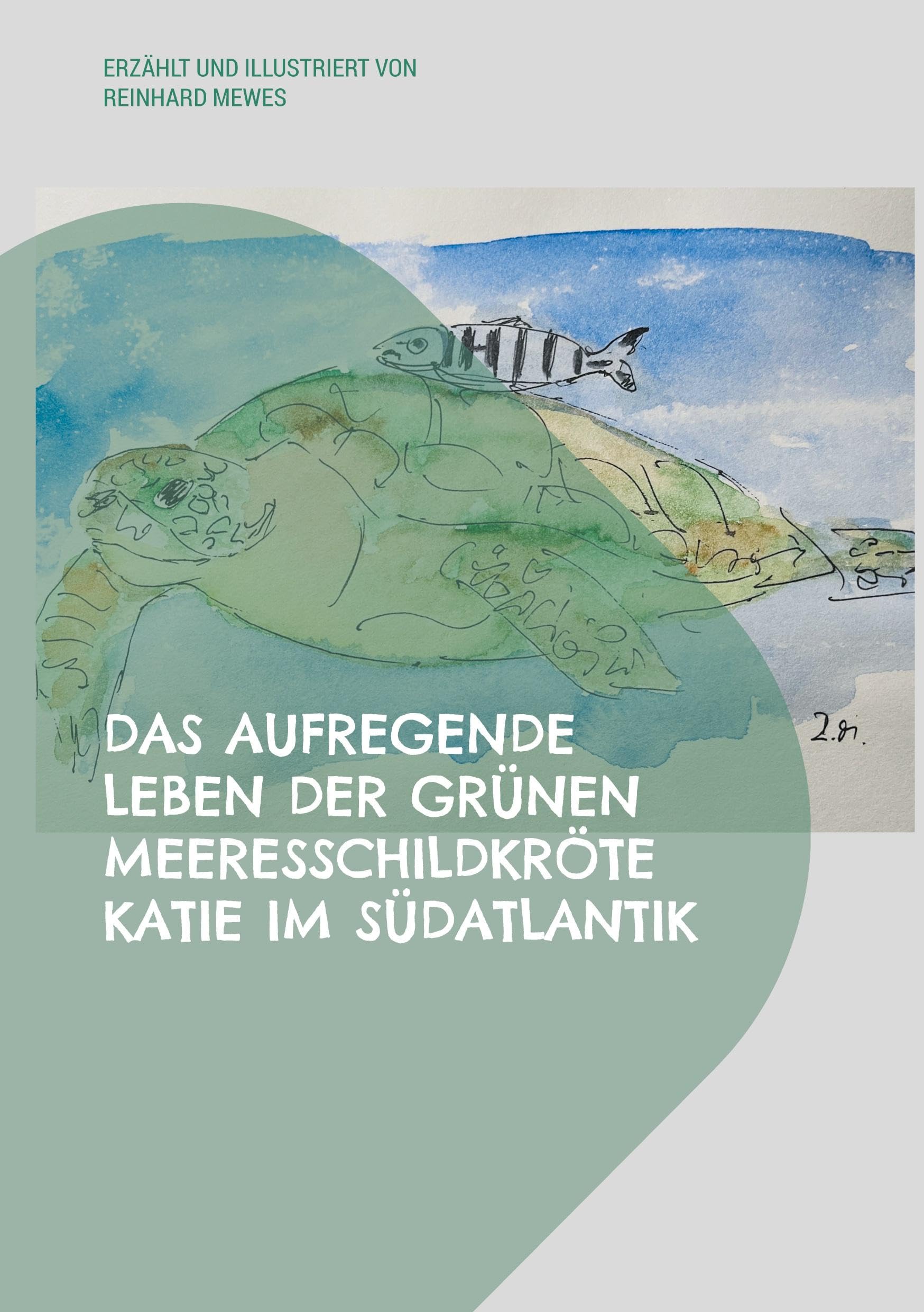 Das aufregende Leben der grünen Meeresschildkröte Katie im Südatlantik Health, Nutrition & Fitness