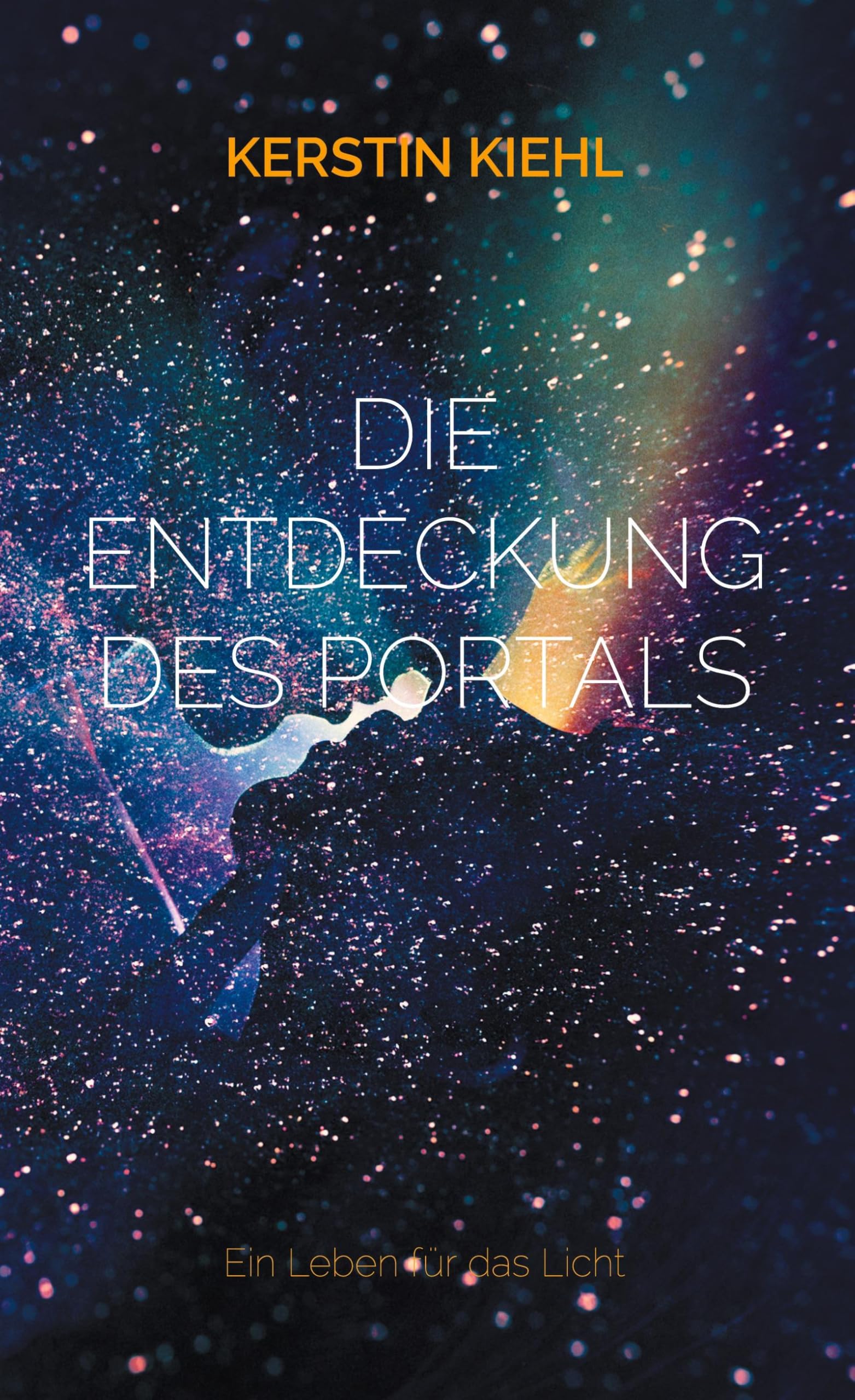 Die Entdeckung des Portals Contemporary literature