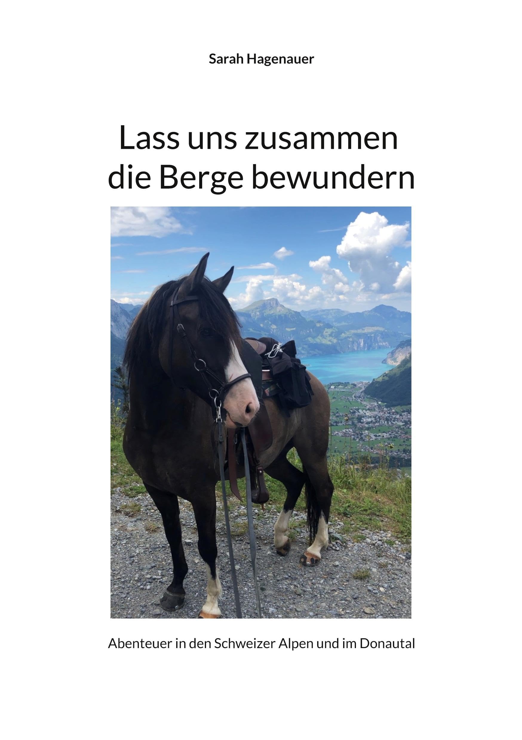 Lass uns zusammen die Berge bewundern Contemporary literature
