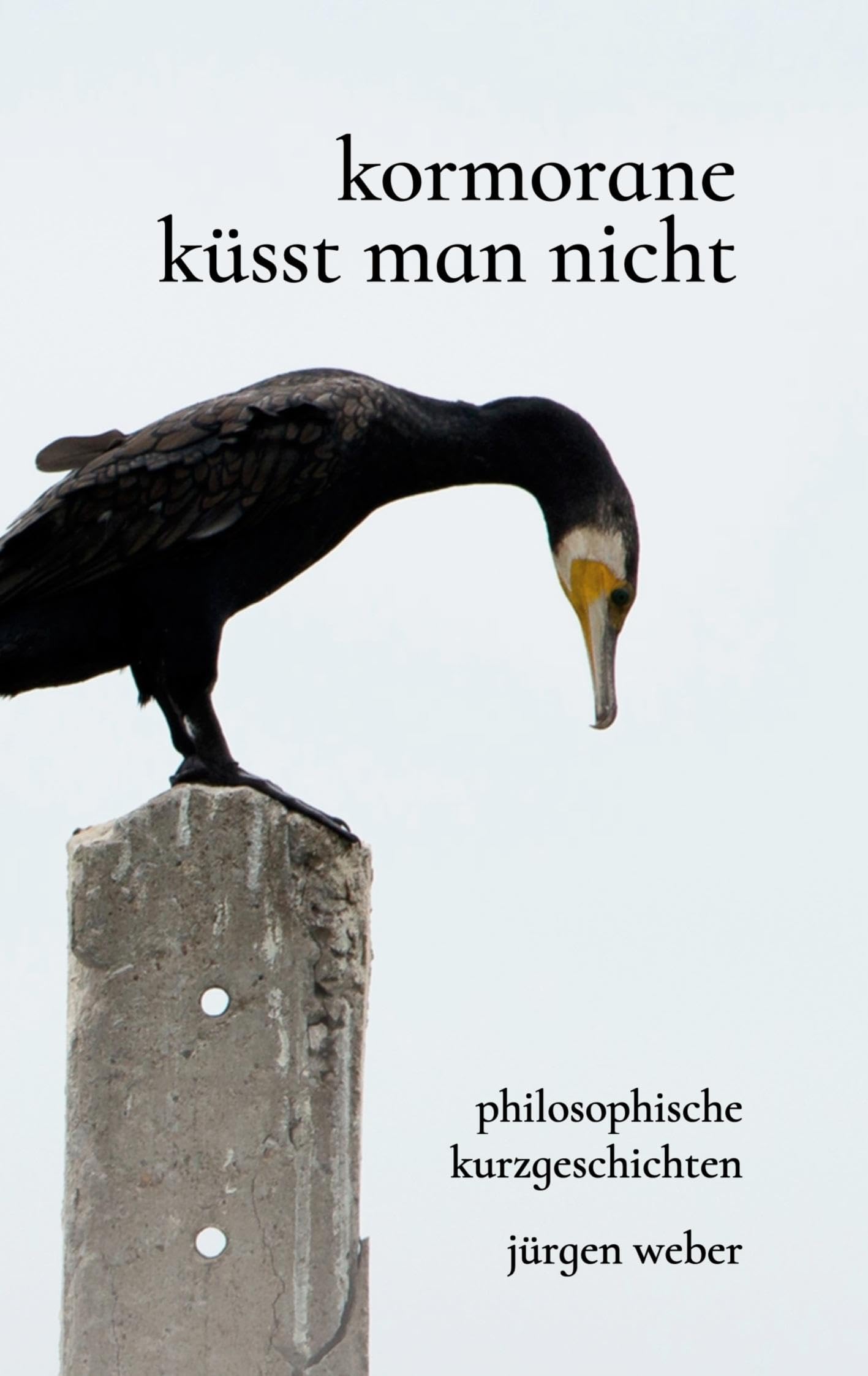 Kormorane küsst man nicht Essays & Short Stories