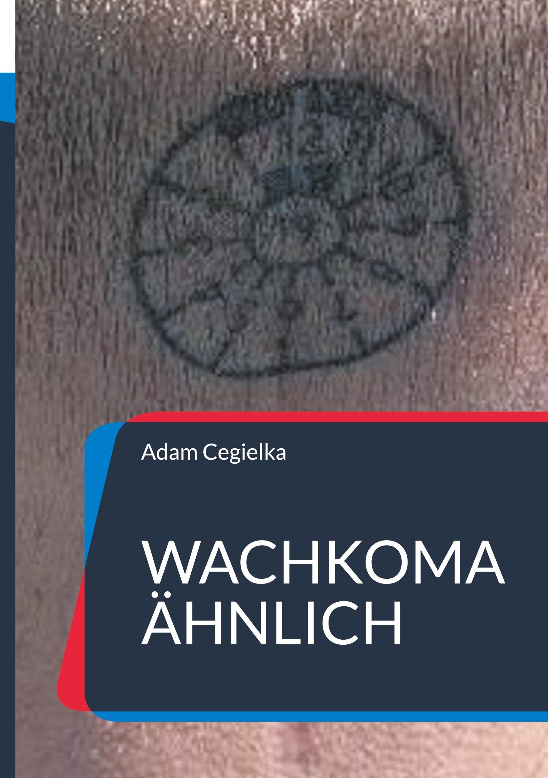 Wachkoma ähnlich Art & Literature