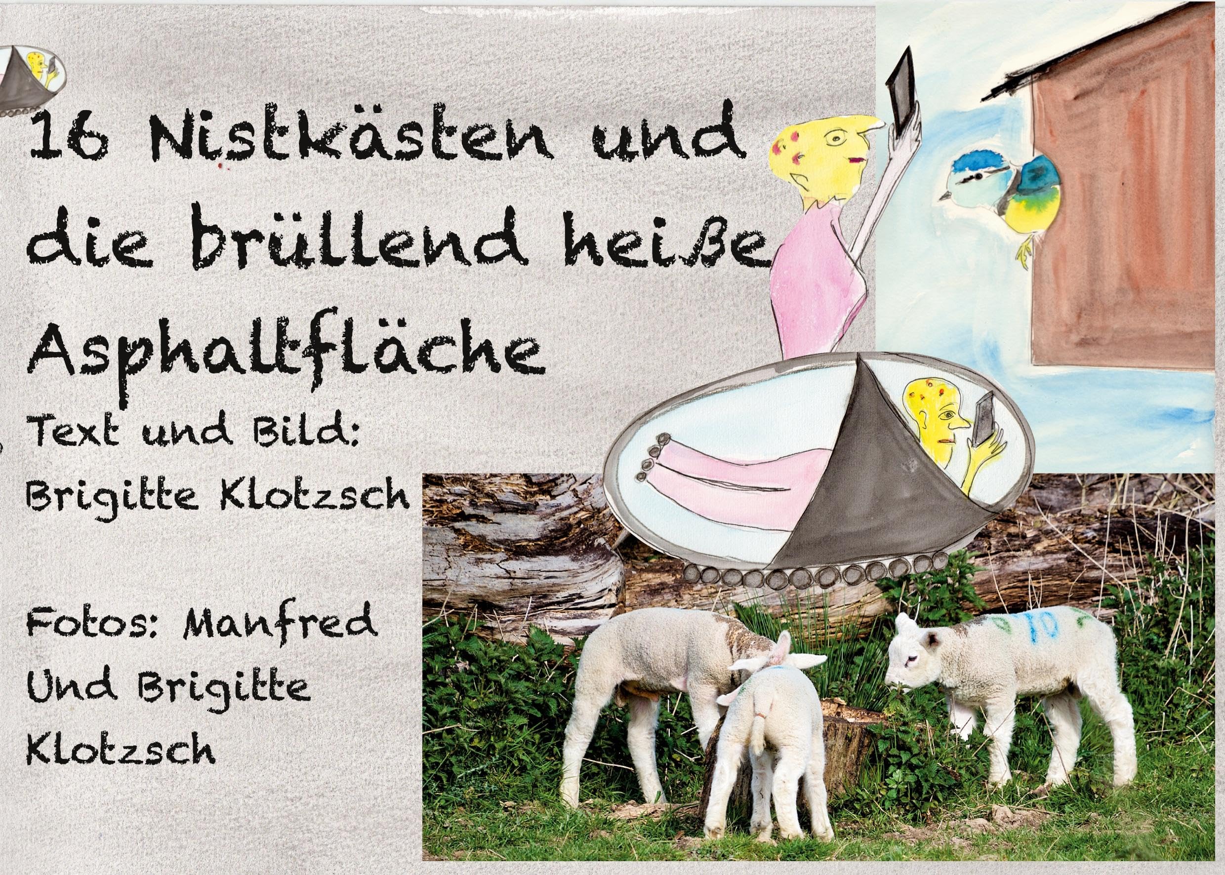 Sechszehn Nistkästen und die brüllend heiße Asphaltfläche Natural Sciences