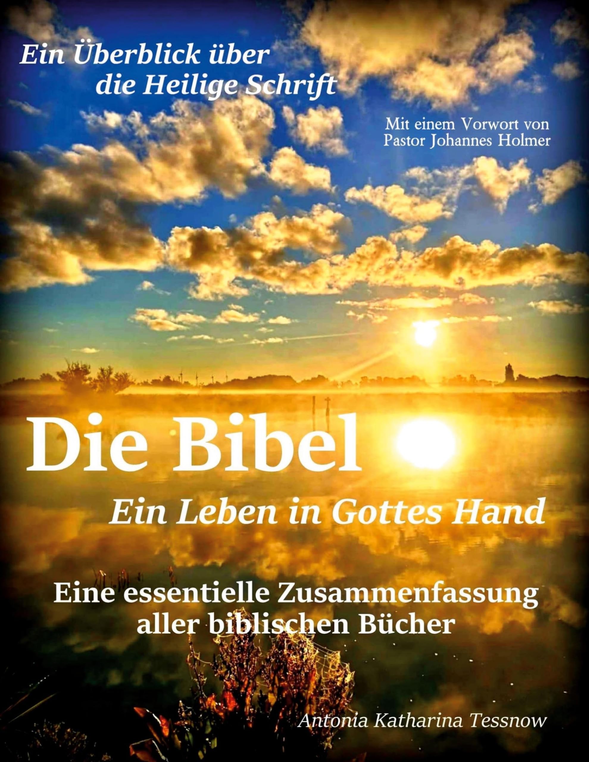 Die Bibel - Ein Leben in Gottes Hand, Eine essentielle Zusammenfassung aller biblischen Bücher Politics & History