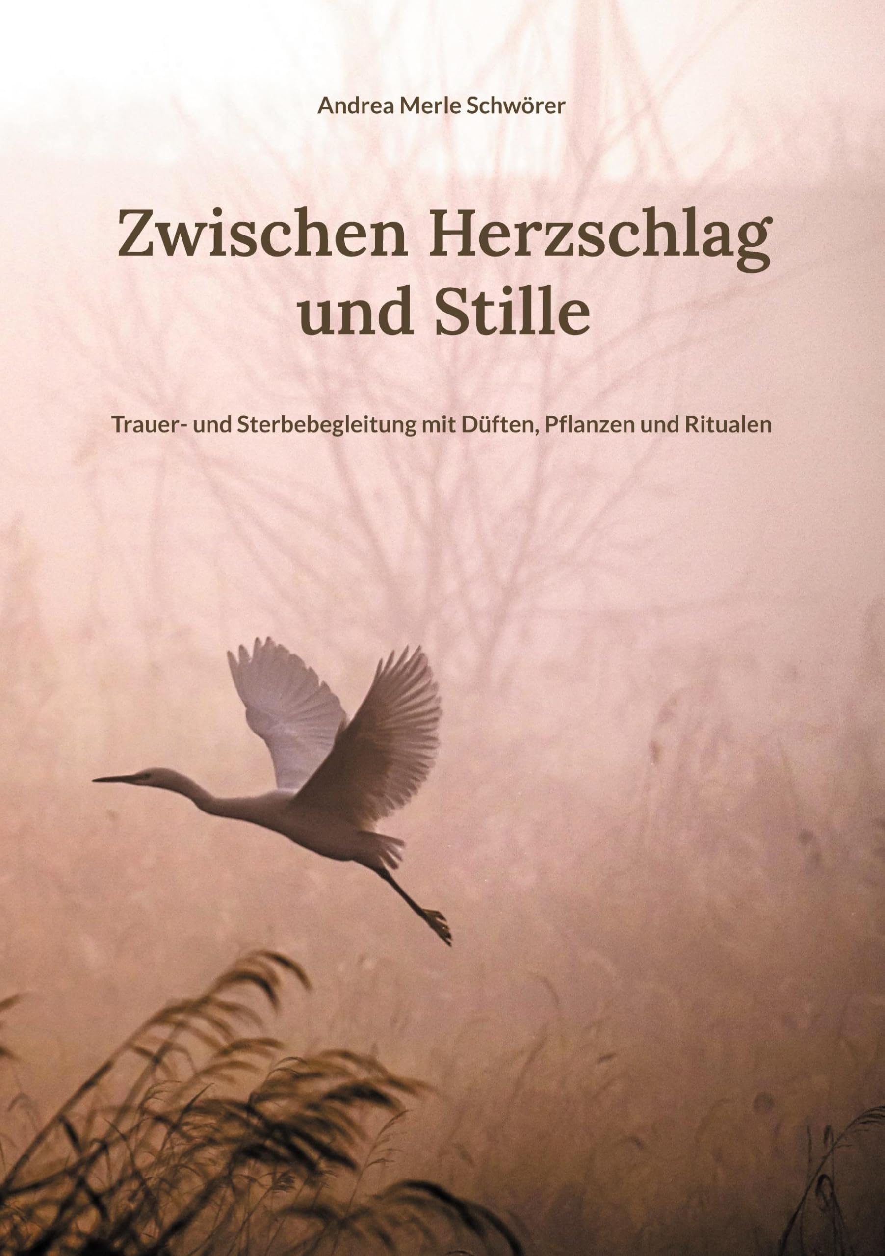Zwischen Herzschlag und Stille Medicine