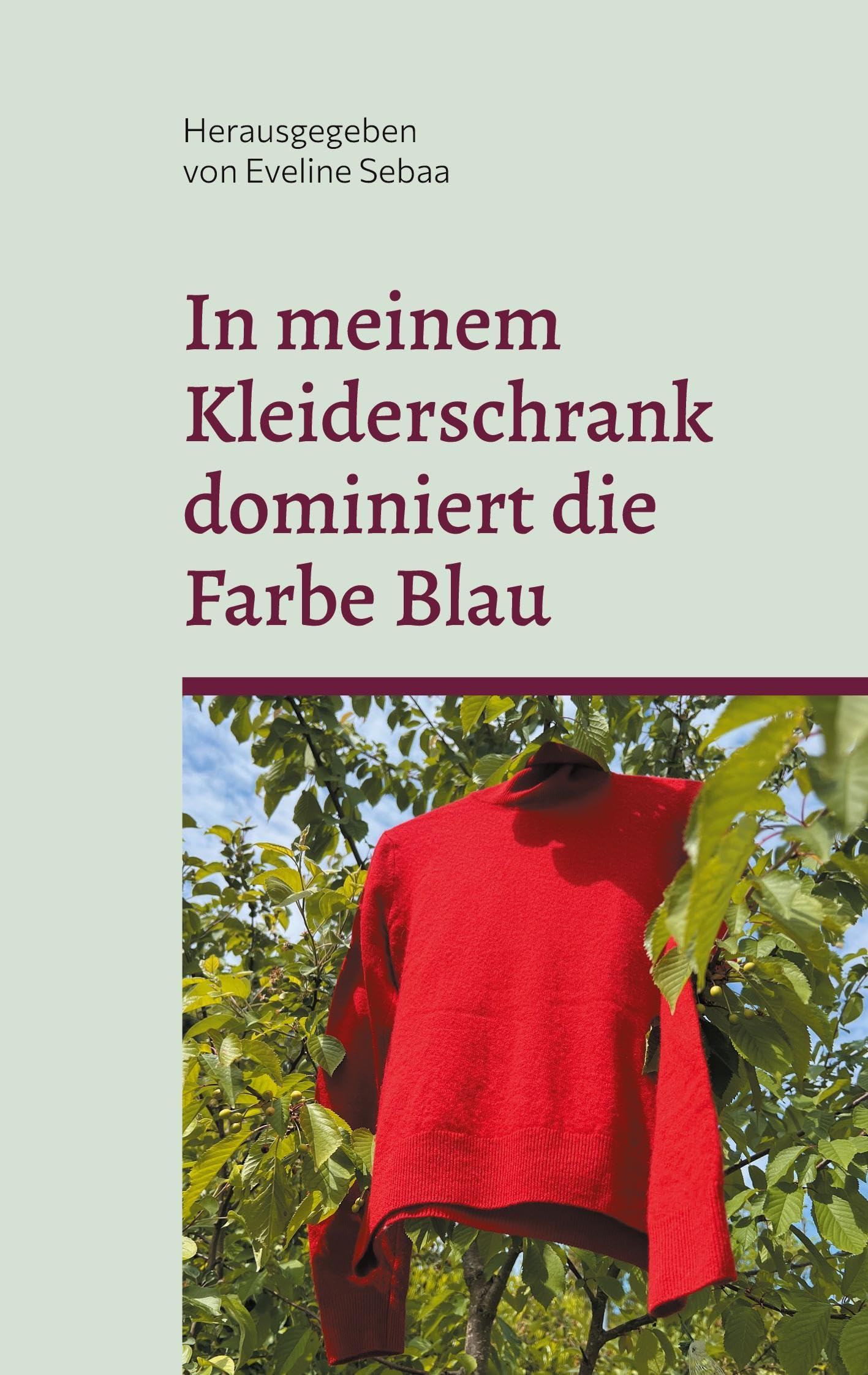 In meinem Kleiderschrank dominiert die Farbe Blau Essays & Short Stories