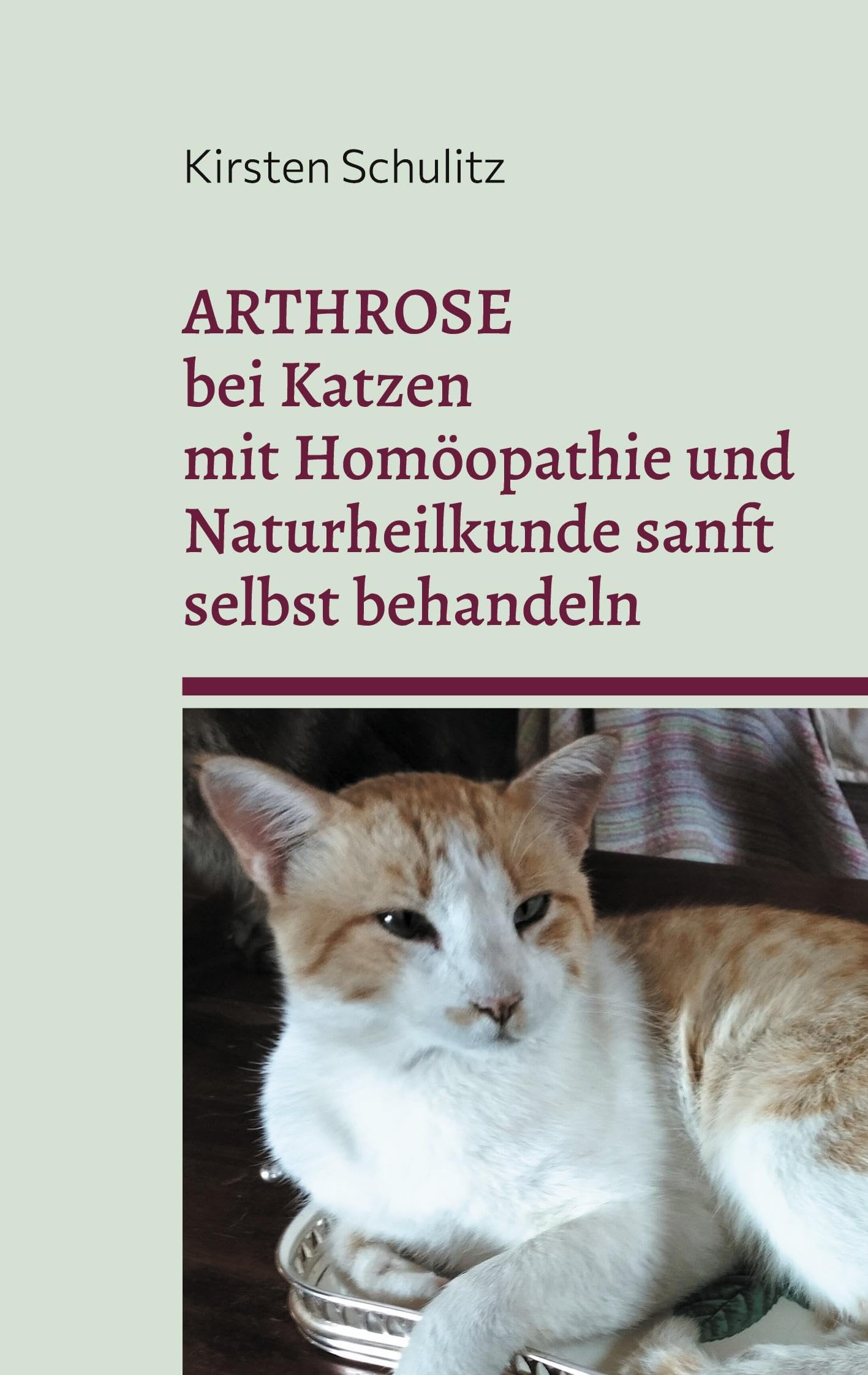 Arthrose bei Katzen mit Homöopathie und Naturheilkunde sanft selbst behandeln Medicine