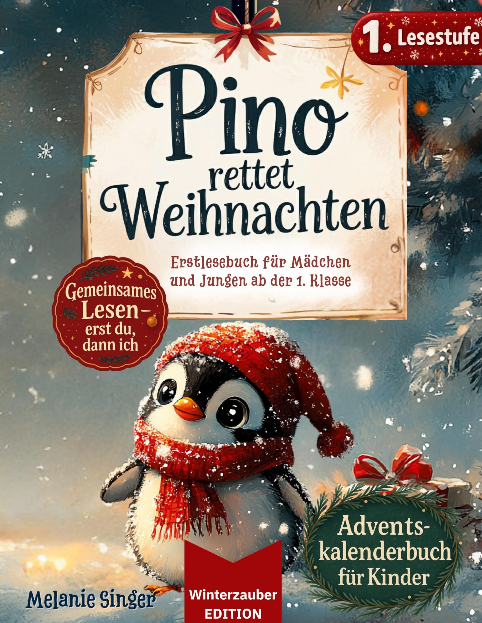 Adventskalender Buch für Kinder Non-fiction