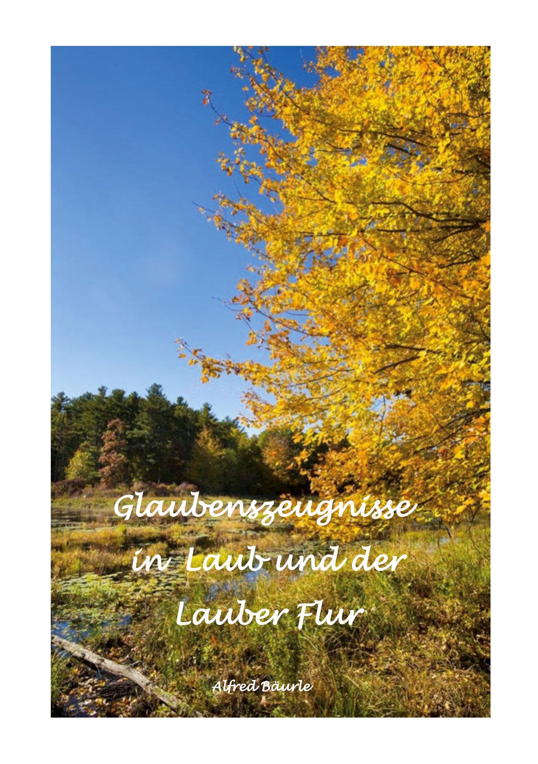 Glaubenszeugnisse in Laub und der Lauber Flur Poetry