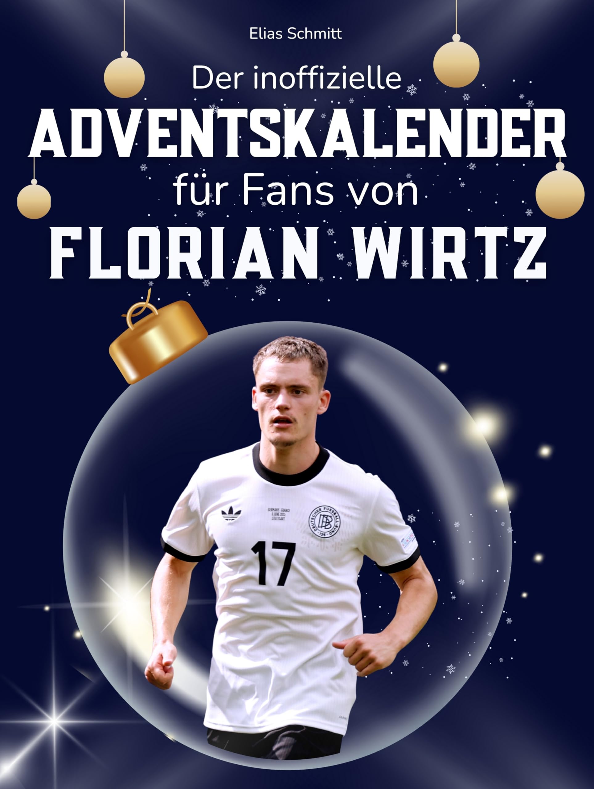 Der inoffizielle Adventskalender für Fans von Florian Wirtz Art & Literature