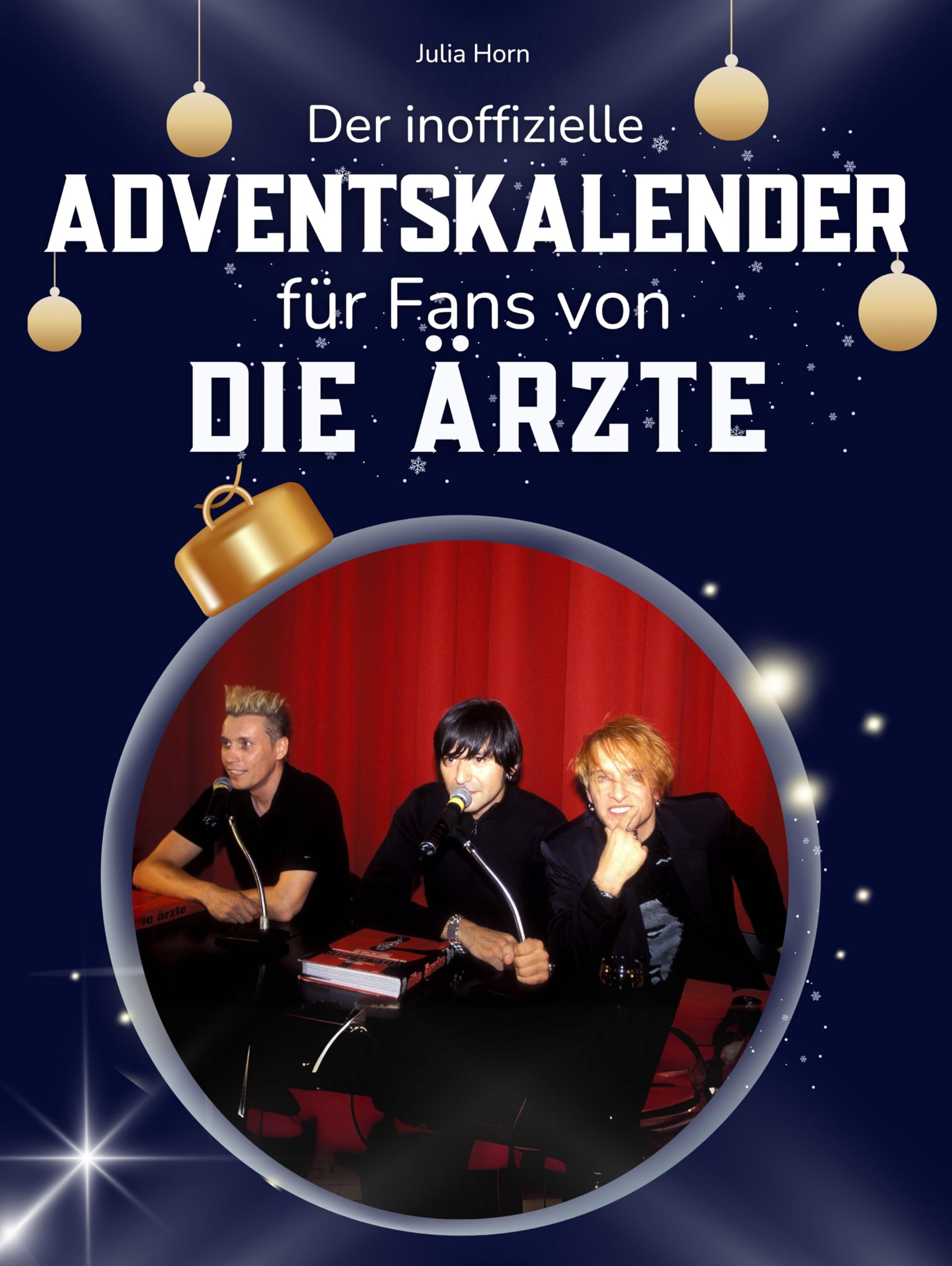 Der inoffizielle Adventskalender für Fans von Die Ärzte Art & Literature Books