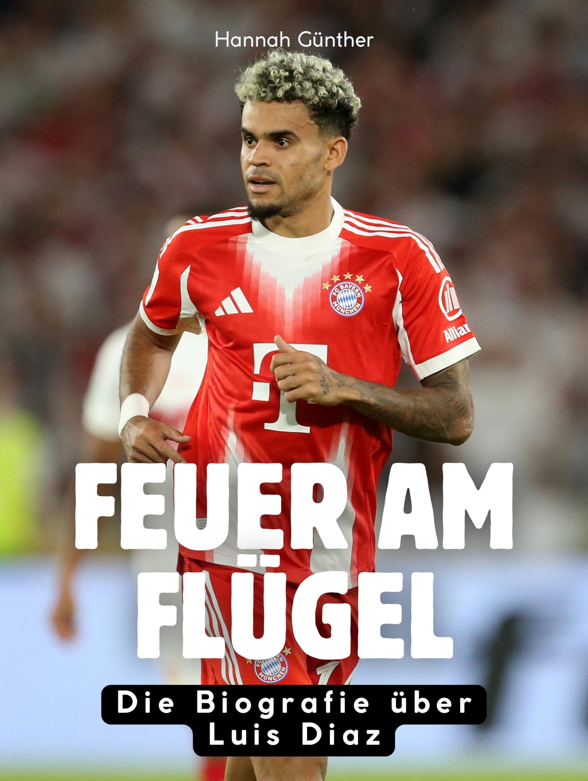 Feuer am Flügel Art & Literature
