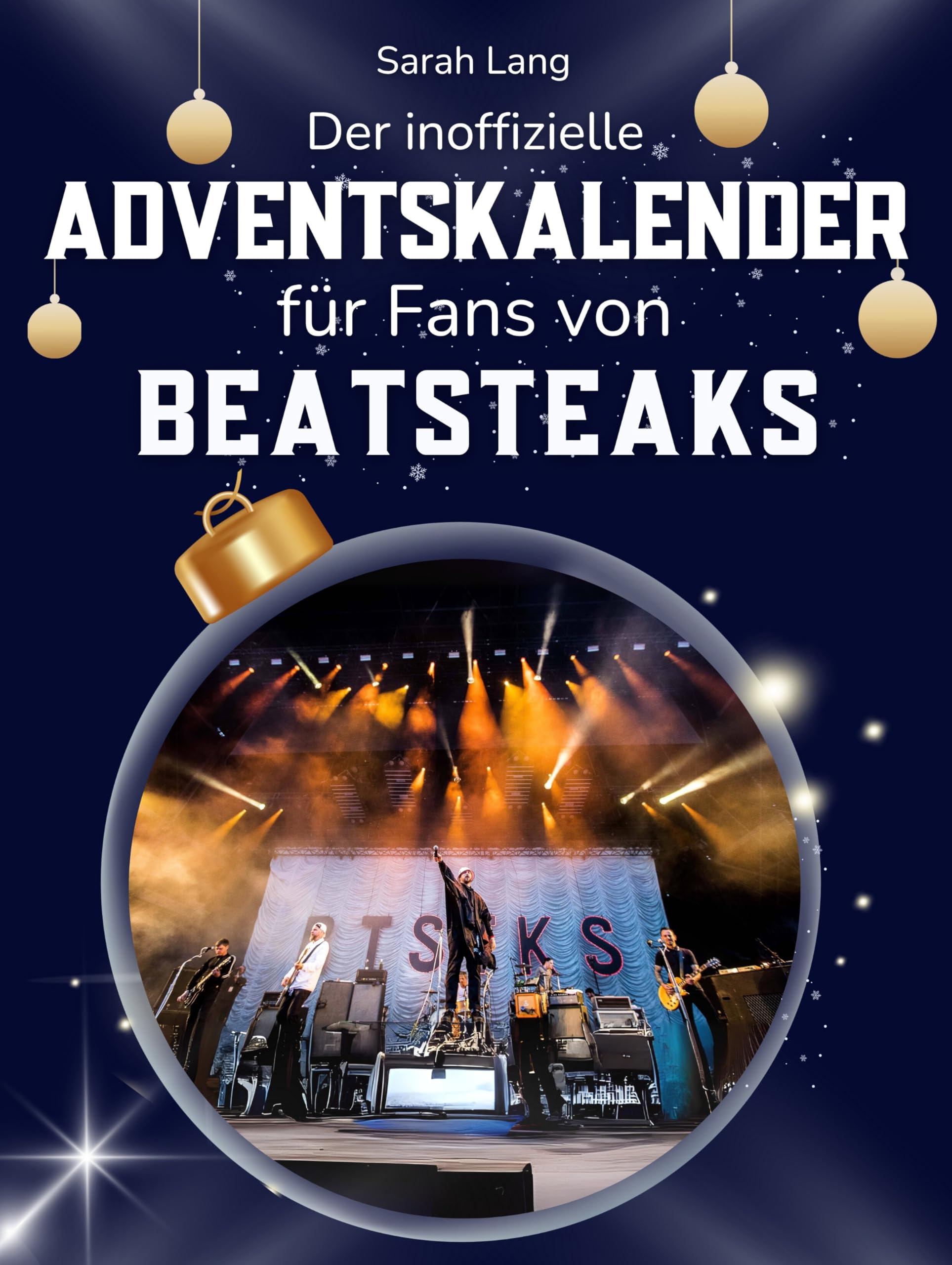 Der inoffizielle Adventskalender für Fans von Beatsteaks Art & Literature