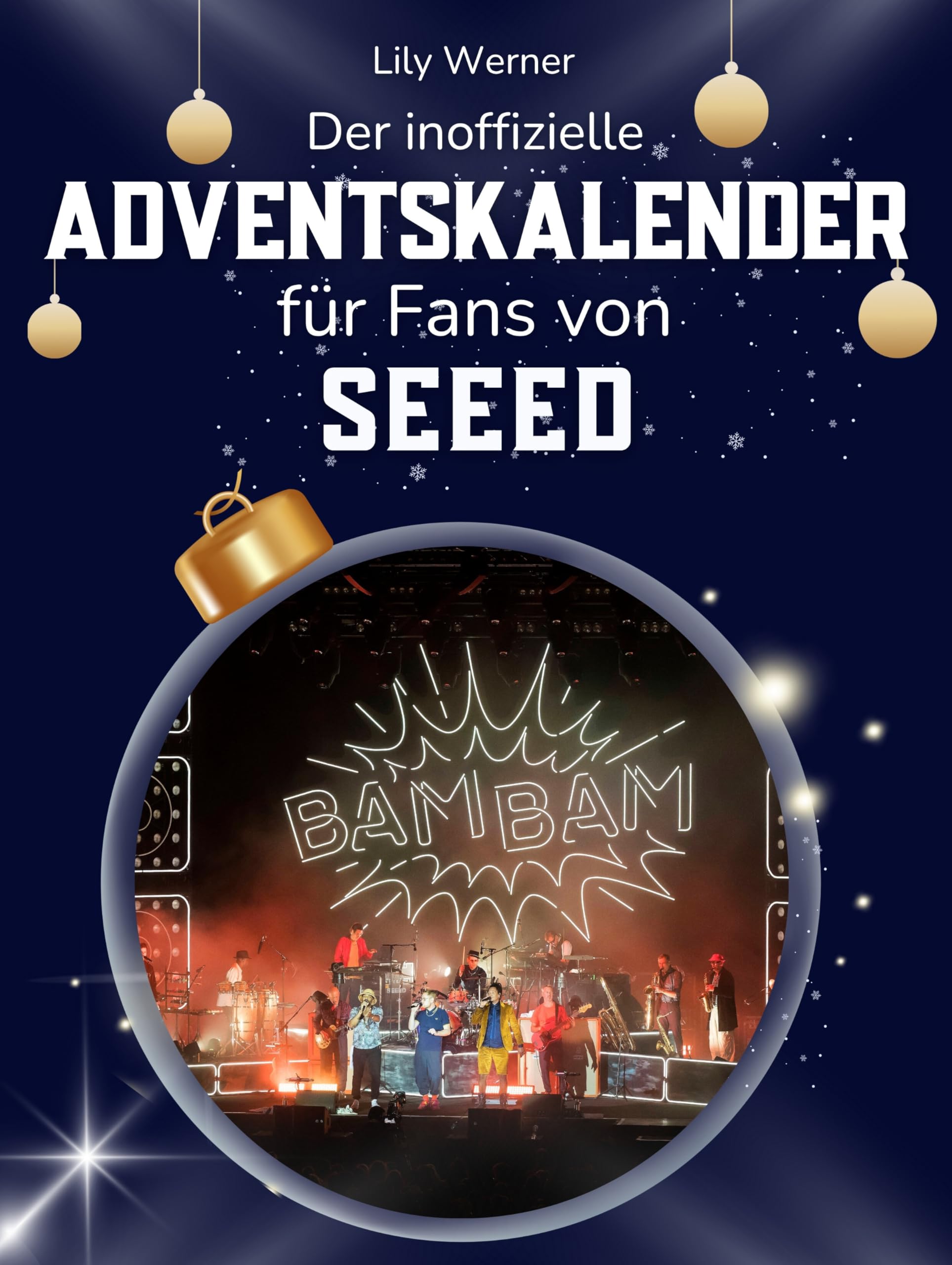 Der inoffizielle Adventskalender für Fans von Seeed Art & Literature