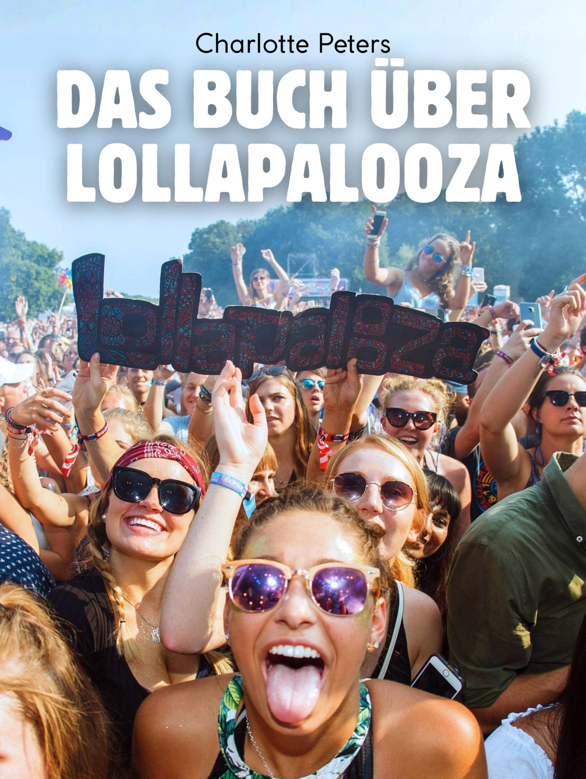 Das Buch über Lollapalooza Art & Literature