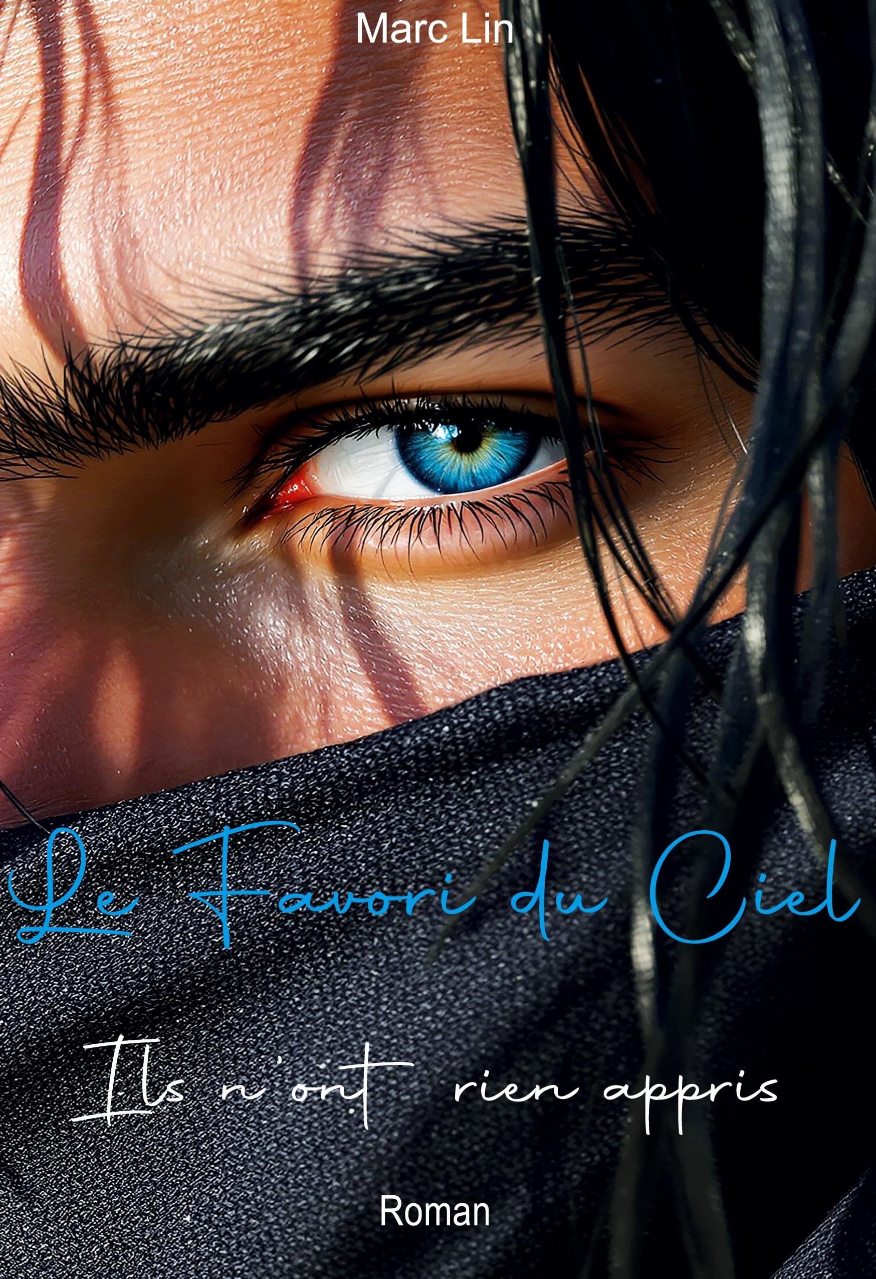 Le Favori du Ciel Contemporary literature