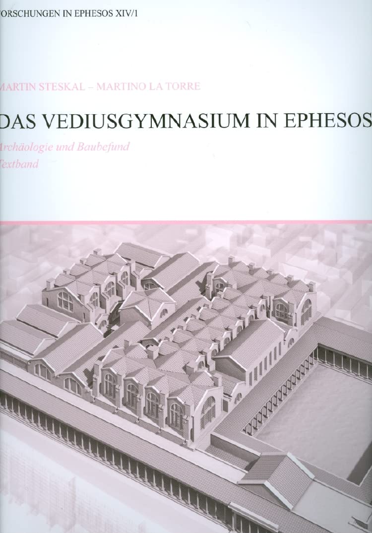 Das Vediusgymnasium in Ephesos: Archaologie und Baubefund book