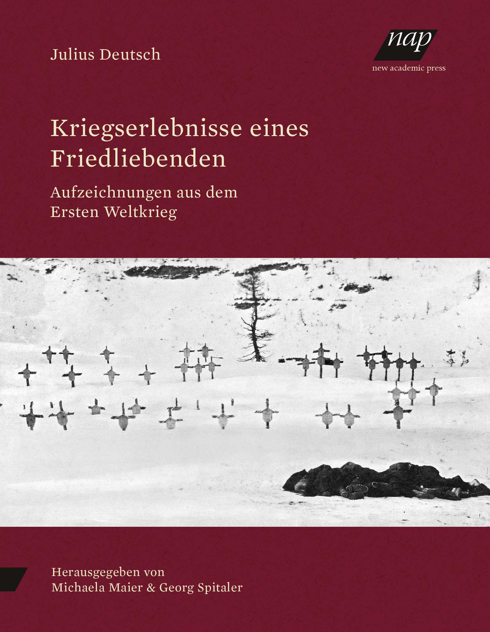 Kriegserlebnisse eines Friedliebenden: Aufzeichnungen aus dem Ersten Weltkrieg Politics & History