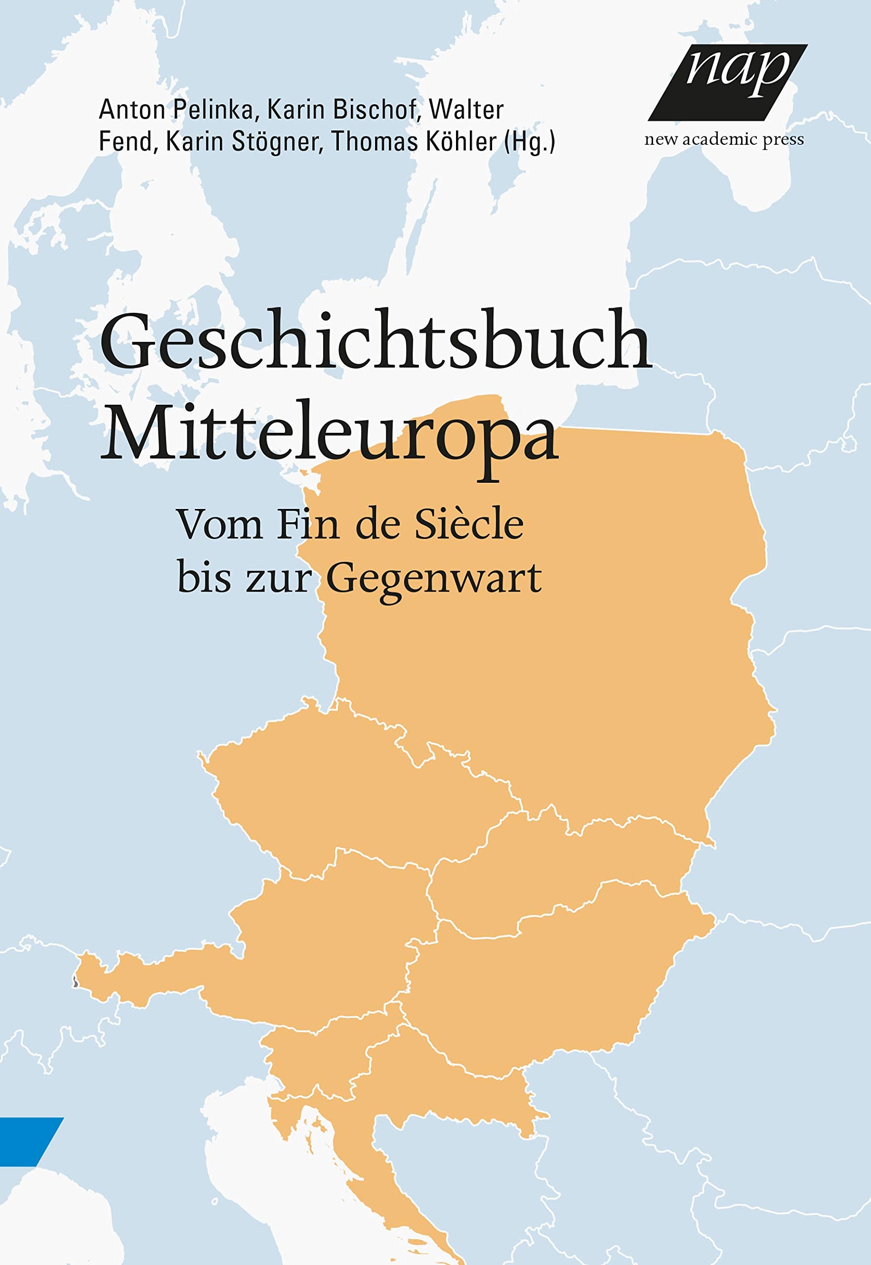 Geschichtsbuch Mitteleuropa: Vom Fin de Siècle bis zur Gegenwart Politics & History