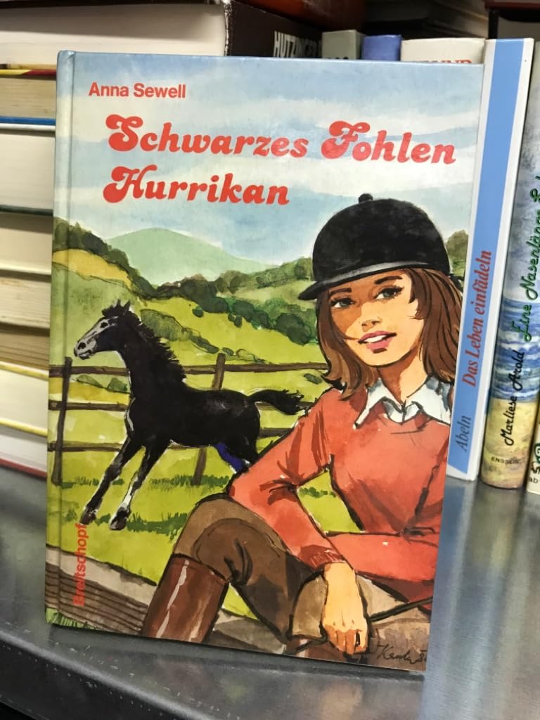 schwarzes Fohlen Hurrikan - Anna Sewell Books