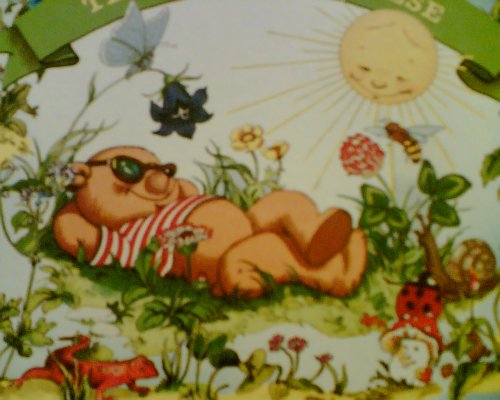 Product Image: Teddy auf der Wiese