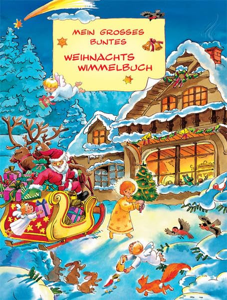 Mein großes buntes Weihnachts-Wimmelbuch Children's books