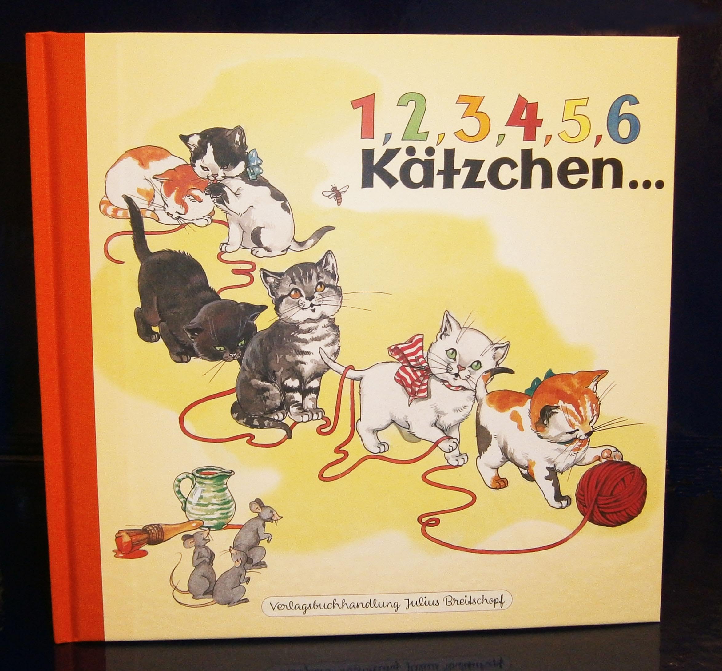 Product Image: 1, 2, 3, 4, 5, 6 Kätzchen