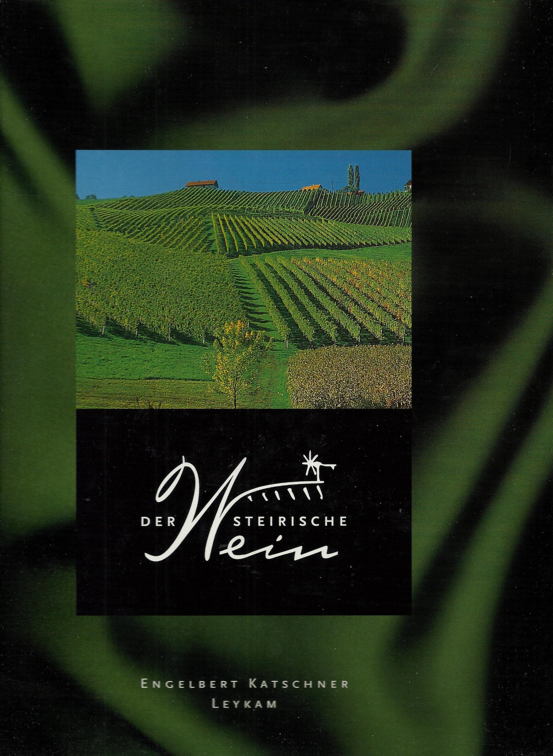 Product Image: Der Steirische Wein