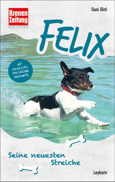 Felix - Seine neuesten Streiche Contemporary literature
