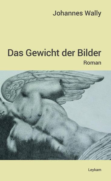 Das Gewicht der Bilder: Roman book