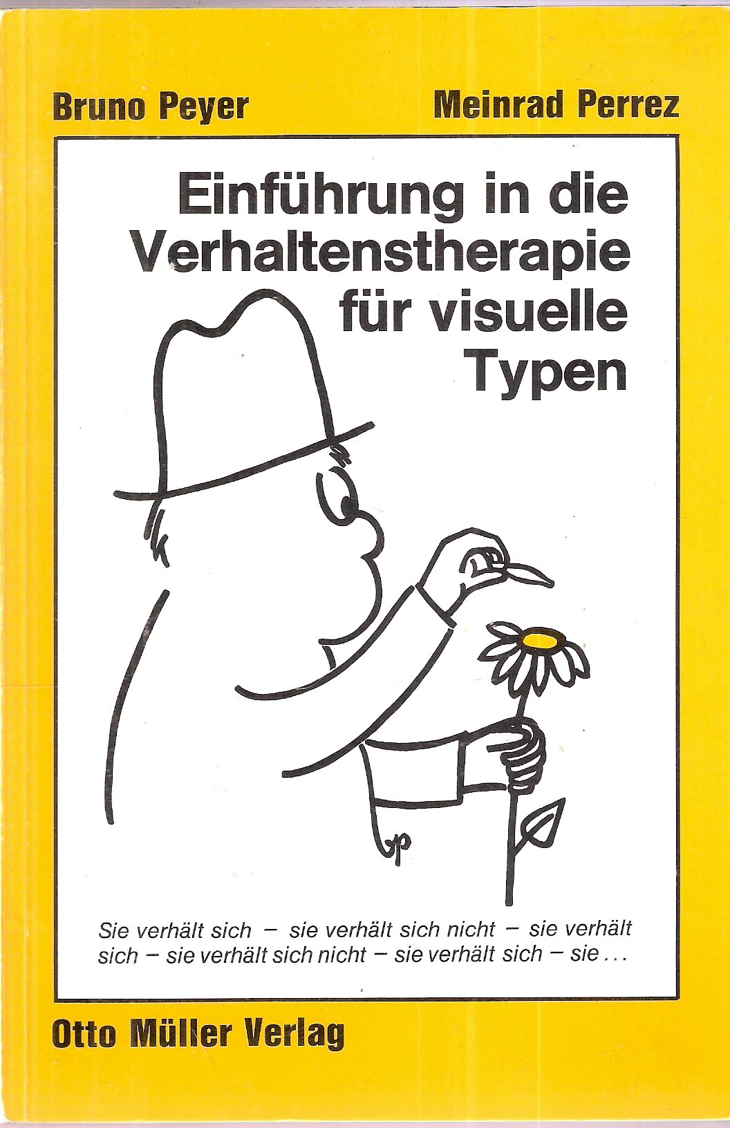 Einführung in die Verhaltenstherapie für visuelle Typen Psychology