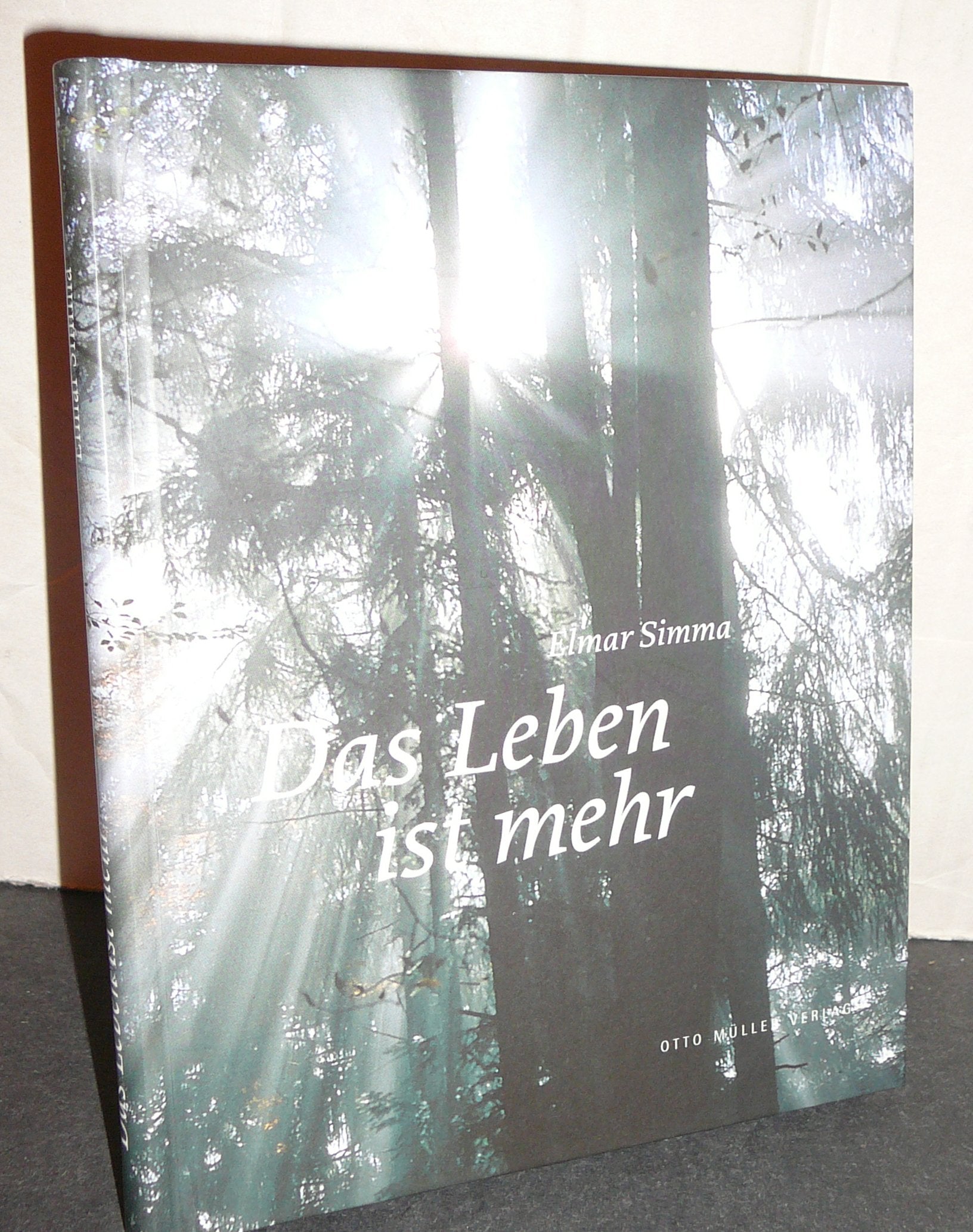 Das Leben ist mehr Essays & Short Stories
