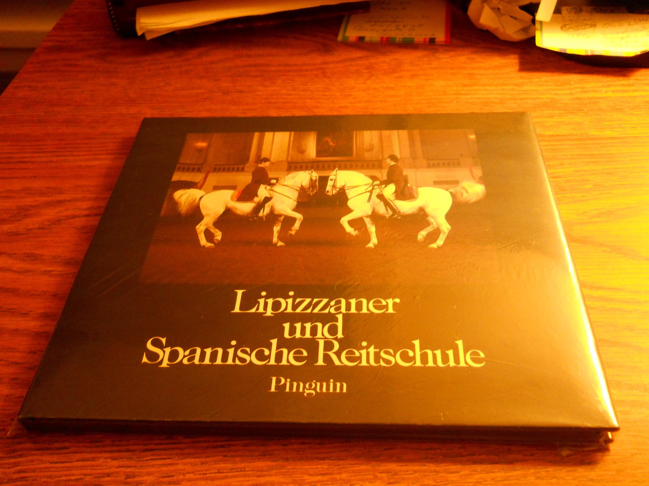 Lipizzaner und Spanische Reitschule Leisure & Fun