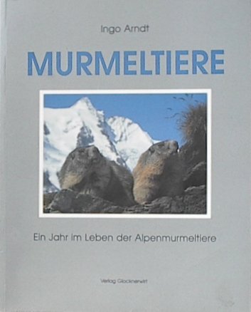 Product Image: Murmeltiere. Ein Jahr im Leben der Alpenmurmeltiere