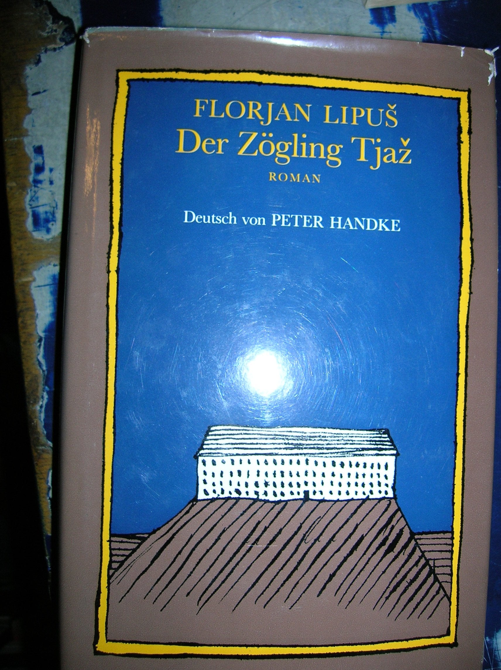 Der Zögling Tjaz: Roman book