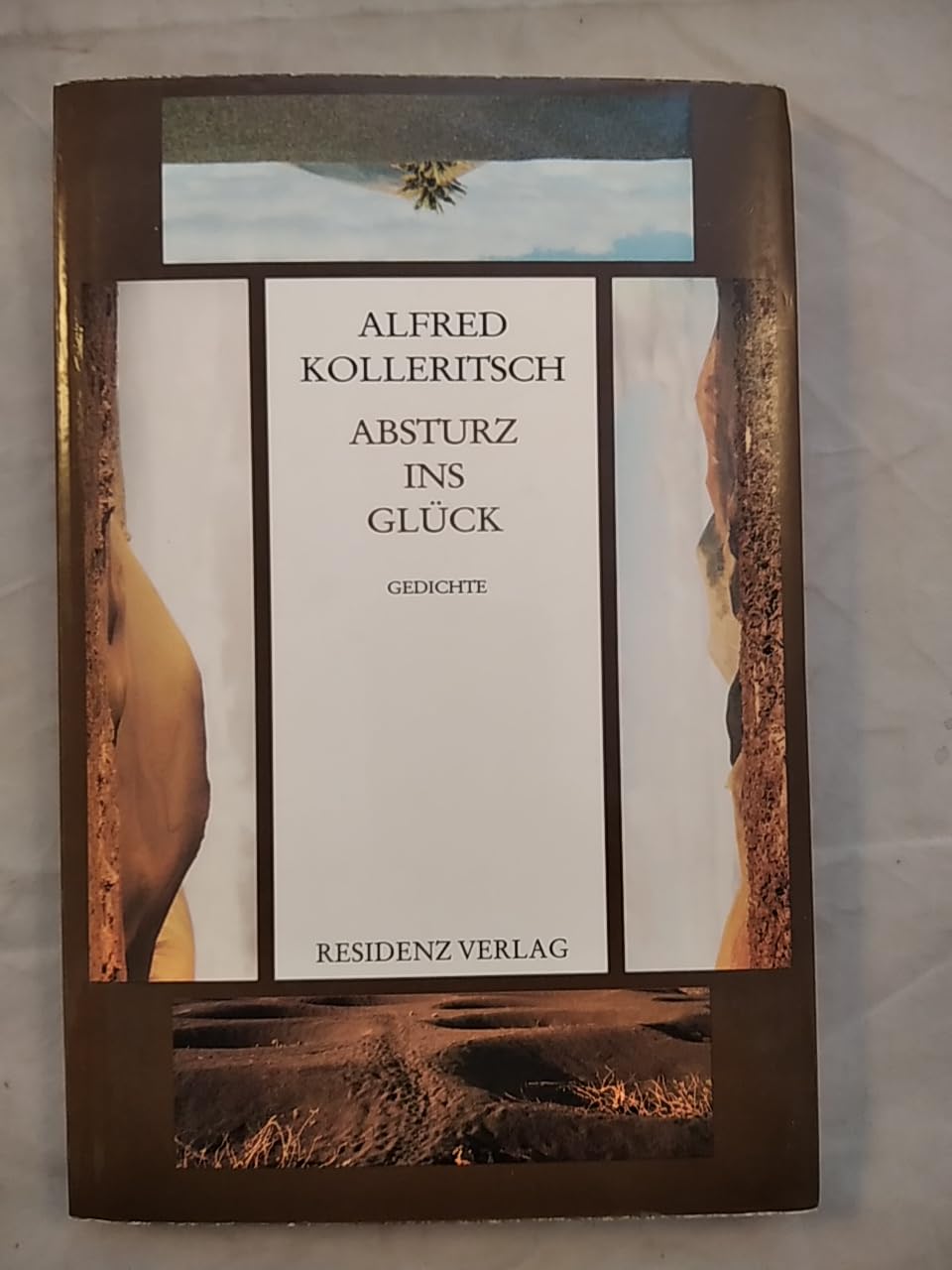 Absturz ins Glück: Gedichte Books