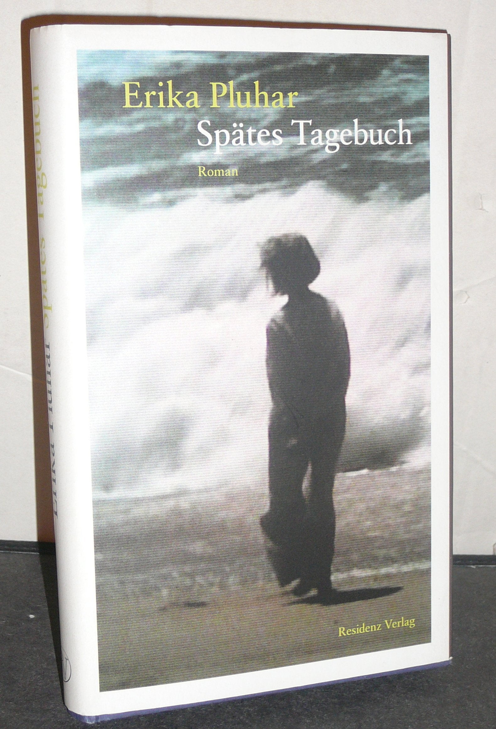 Spätes Tagebuch Contemporary literature Books