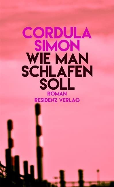Wie man schlafen soll: Roman Contemporary literature