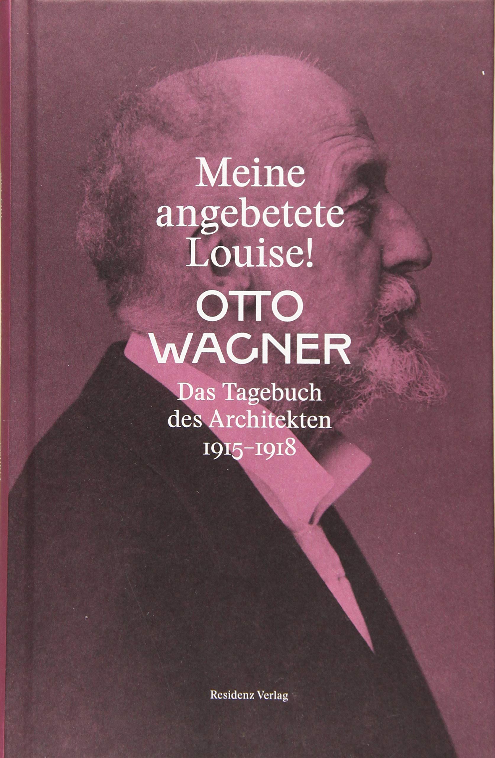 Meine angebetete Louise! book