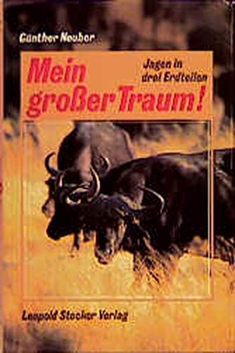 Product Image: Mein grosser Traum