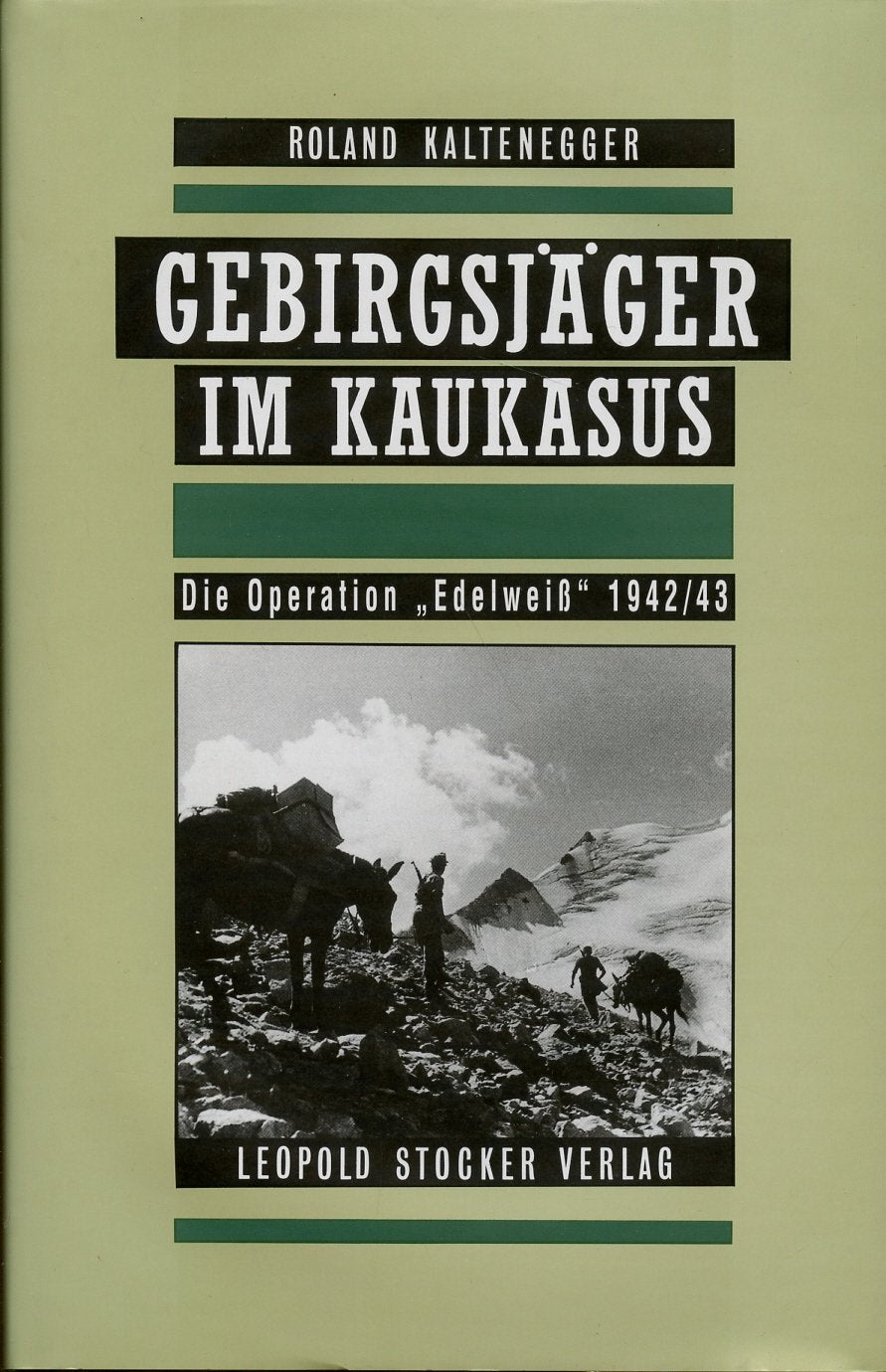 Gebirgsjäger im Kaukasus: Die Operation "Edelweiss" 1942/43: Die Operation 'Edelweiß' 1942/43 Politics & History