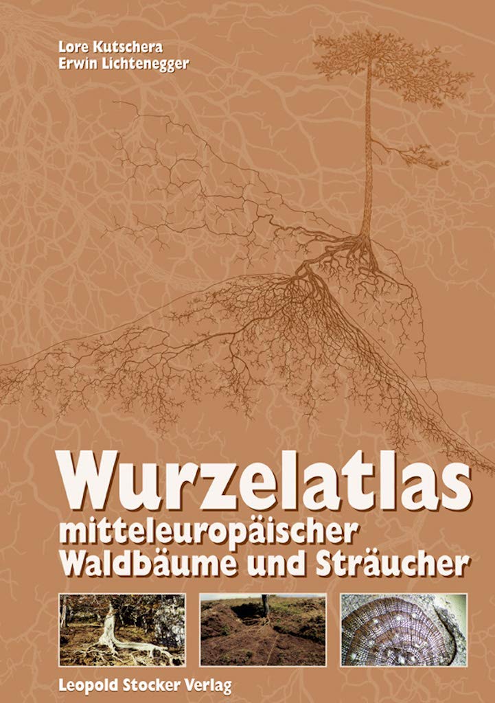Wurzelatlas mitteleuropäischer Waldbäume und Sträucher Leisure, Home & Garden
