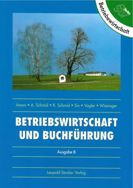 Betriebswirtschaft und Buchführung: Ausgabe B Business, Finance & Career