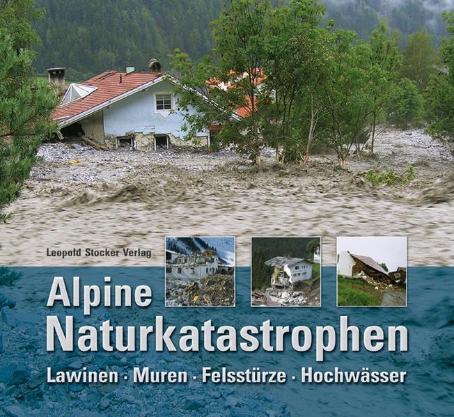 Alpine Naturkatastrophen: Lawinen Muren Felsstürze Hochwässer Architecture