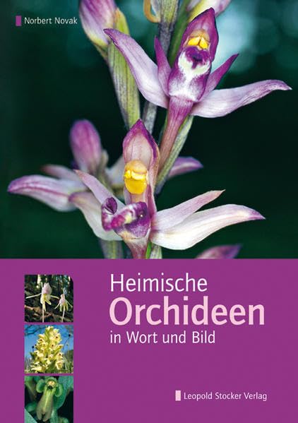 Heimische Orchideen in Wort und Bild Leisure, Home & Garden