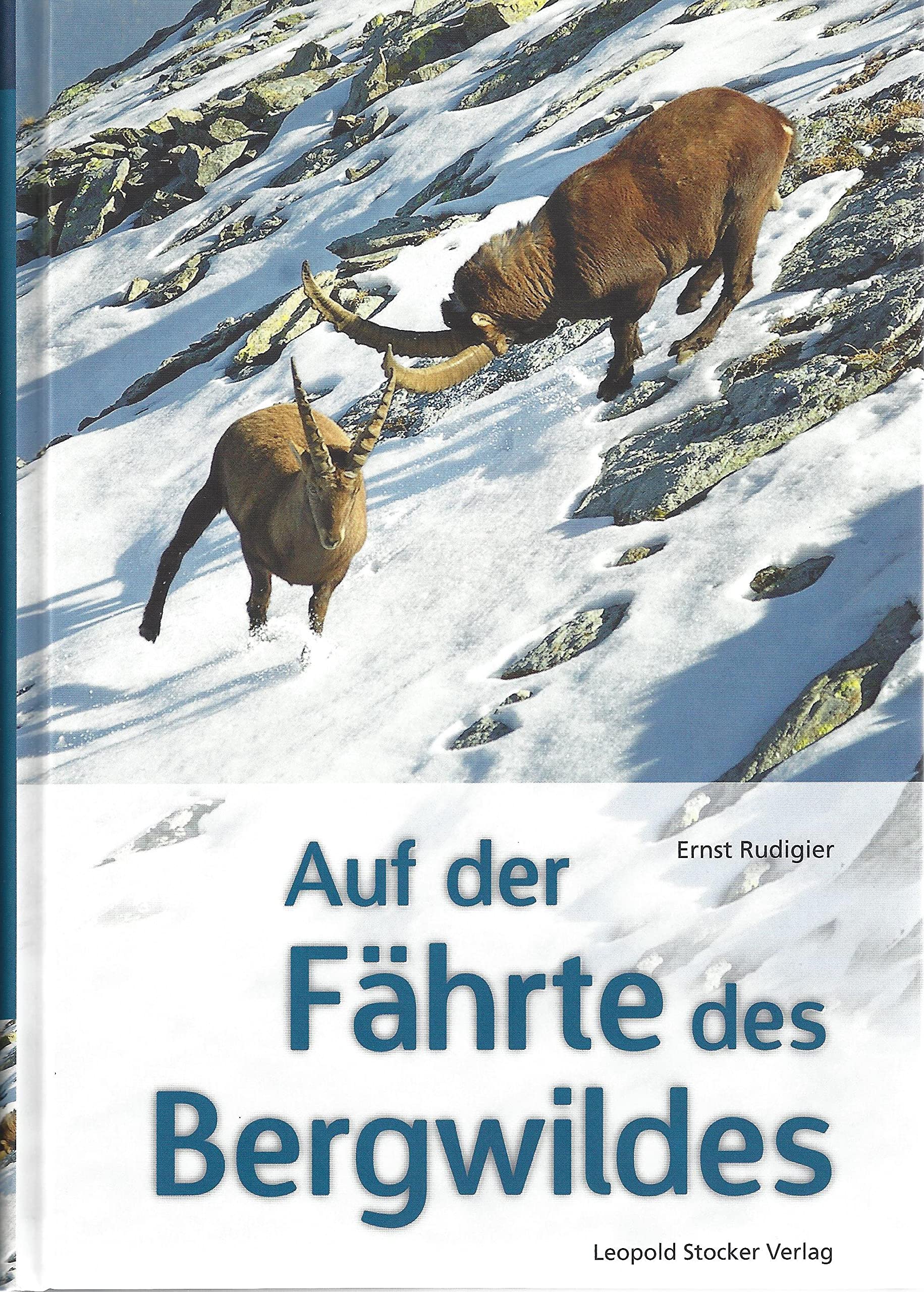 Auf der Fährte des Bergwildes Leisure & Fun