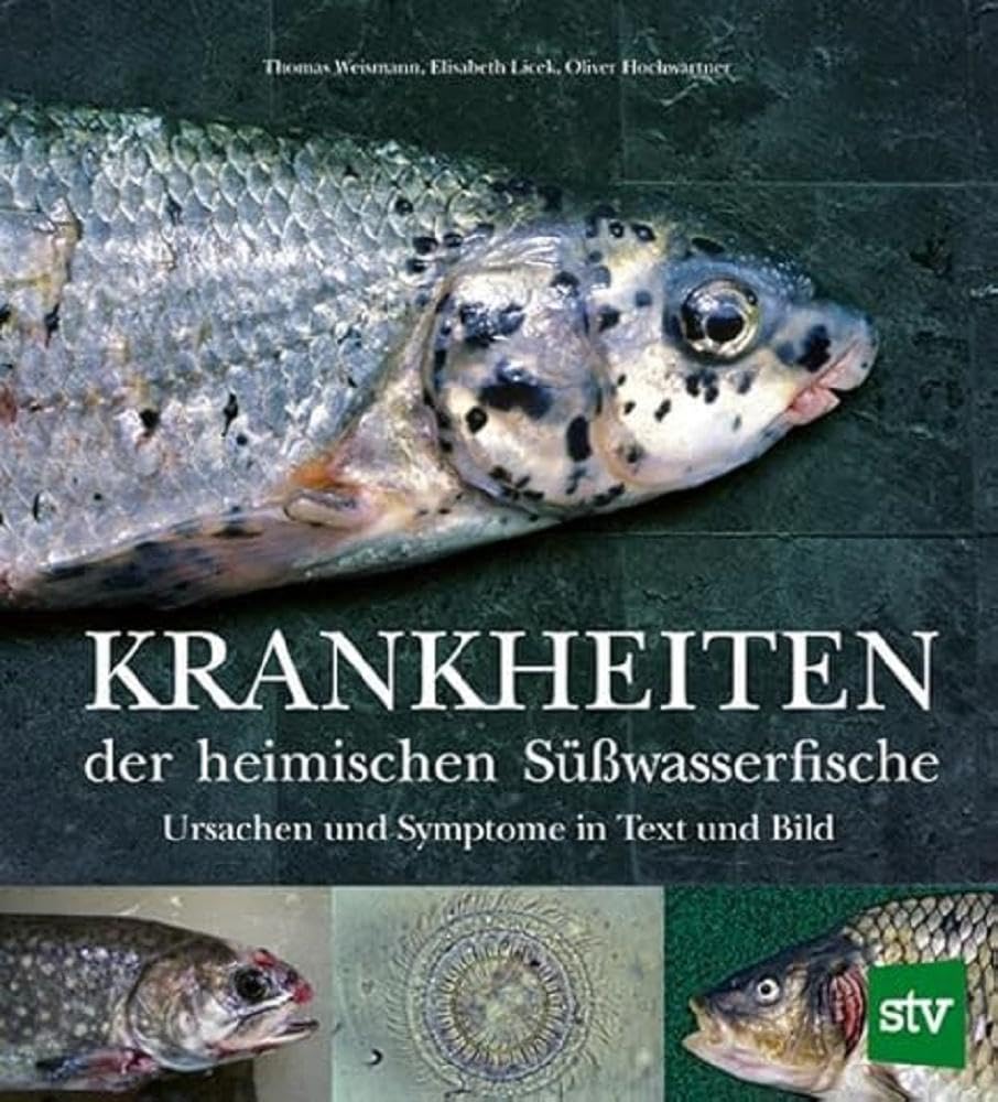 Krankheiten der heimischen Süßwasserfische Business, Finance & Career